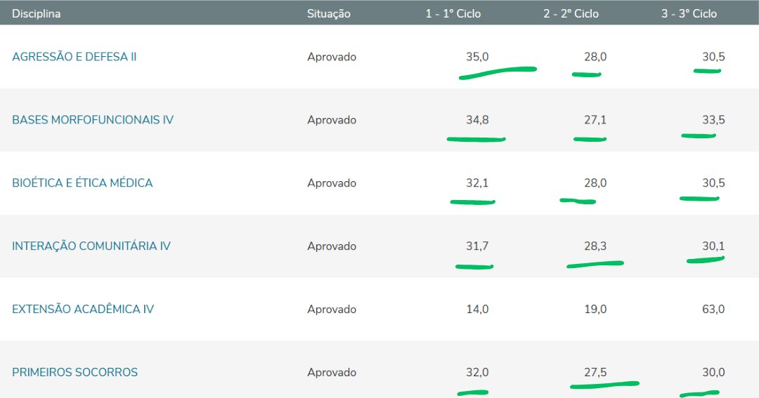 Boletim com aprovação em seis disciplinas e notas destacadas nos três ciclos.