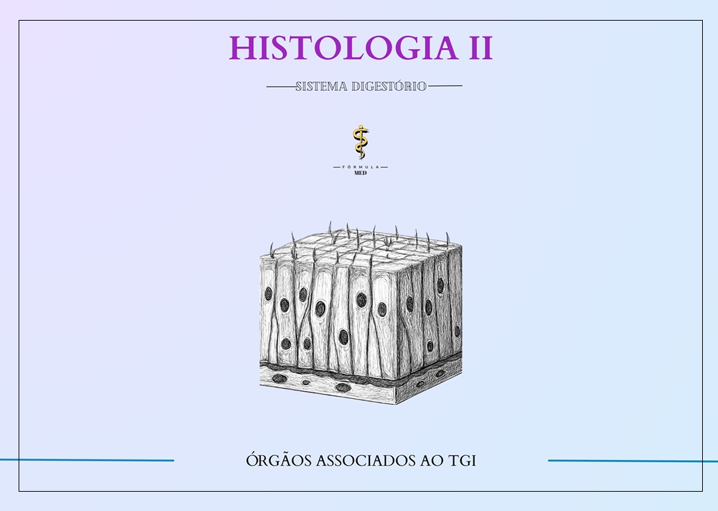 Captura de tela_4-2-2026_19145_