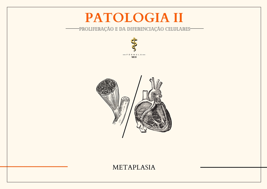 Captura de tela_4-2-2026_191613_