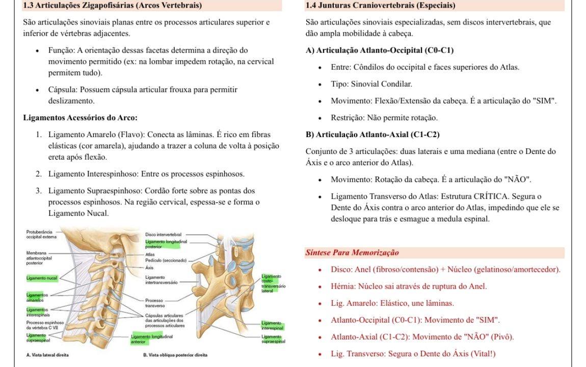 Captura de tela_4-2-2026_11723_