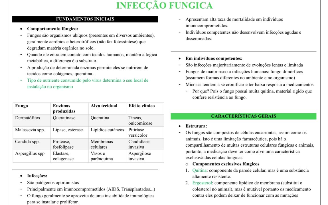 Captura de tela_4-2-2026_12050_