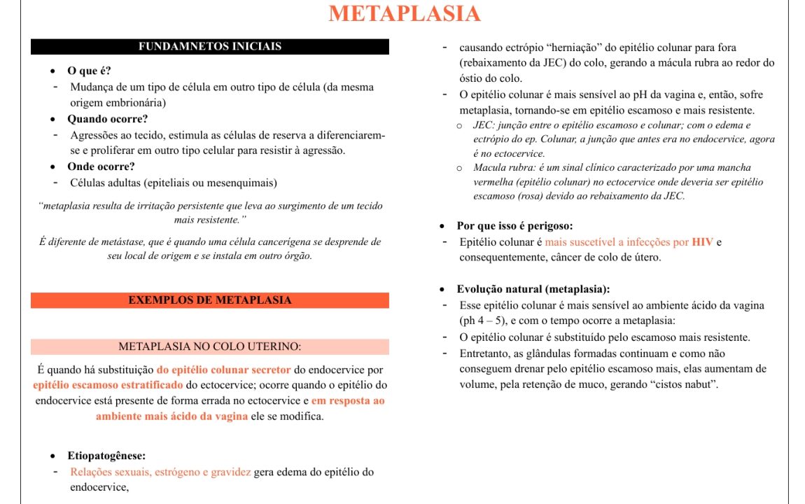 Captura de tela_4-2-2026_12438_