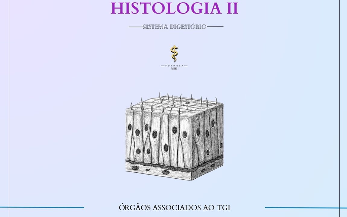 Captura de tela_4-2-2026_19145_